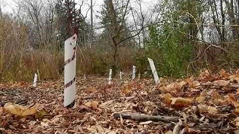 Oakville TreeKeepers Program by Oakvillegreen