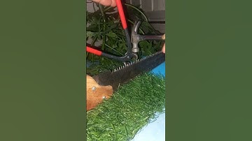 🪚I was Surprised How Quickly This Trick Sharpened My Old Saw this Sharp