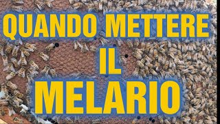 Apicoltura CD: Quando metto i melari?