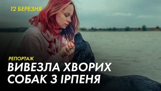 «Вивели 15, ще 4 загубилися» - історія дівчини, яка врятувала хворих собак з Ірпеня