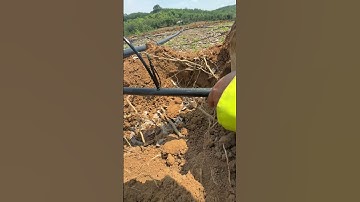 Cách kết nối béc g5 tưới cà phê , bà con có thể làm tại nhà