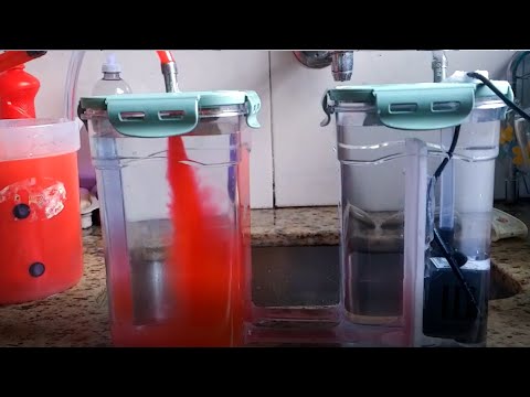 Vídeo: Como Fazer Um Filtro Externo Para Um Aquário