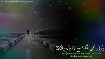 -تلاوة مؤثرة من سورة الفرقان : {وَيَوْمَ يَعَضُّ الظَّالِمُ عَلَىٰ يَدَيْهِ}