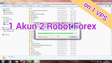Cara Running 2 Robot Forex di satu Akun di Satu VPS/komputer
