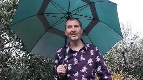 Everyday Uncertainty