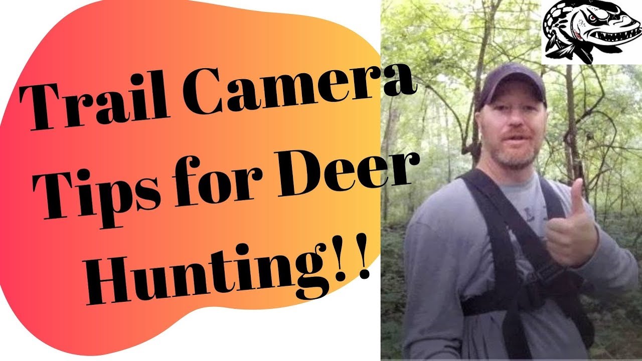 Trail Camera Tips For Deer Hunting