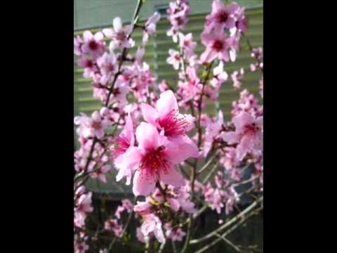 「ＫＹＯＴＯ」　ＪＵＤＹ　ＡＮＤ　ＭＡＲＹ　Ｃｏｖｅｒ　ＪＡＭ彩iro   2013