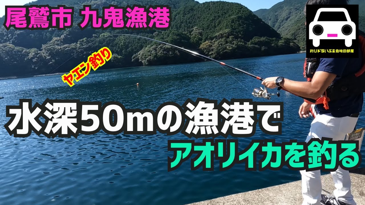 日本一深い漁港 九鬼漁港でアオリイカを釣る★ヤエン釣り★エビ撒き釣り★エギング★尾長グレ★シビックタイプR★メジナ★車横付け★ハネ★スズキ★チヌ★磯★穴場★地磯