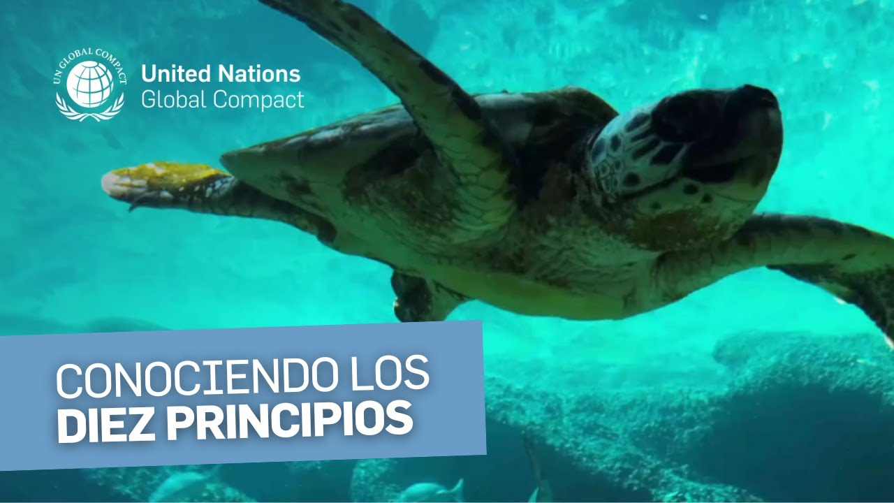 ¿Conoces los Diez Principios del Pacto Global? ¡Te los presentamos! 🧾♻️