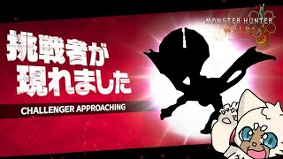 【参加型】おや懐かしのシルエット【ネタバレ注意！】 #モンスターハンターワイルズ
