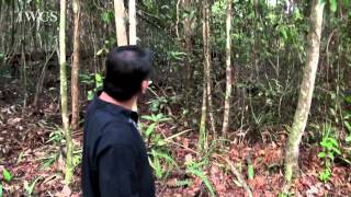 The Green Path Sama Jaya Nature Reserve