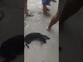 Eu e meu cachorro na fila para pegar ficha para fazer exame