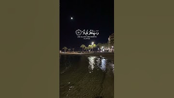 {سُورة : المُزمل | الآية : 10-12 | القارِئ عبد الرحمٰن مسعد 🤍} #قرآن_كريم #quran #explore #اكسبلور