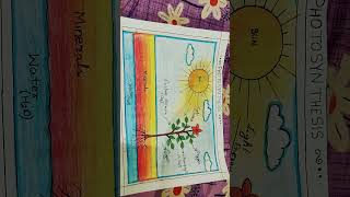 Diagram showing Photosynthesis. Class 7 Science