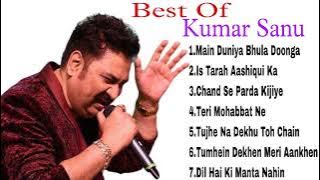 Best Of Kumar Sanu || Kumar Sanu & Alka Yagnik || Kumar Sanu Best Bollywood Songs 90s