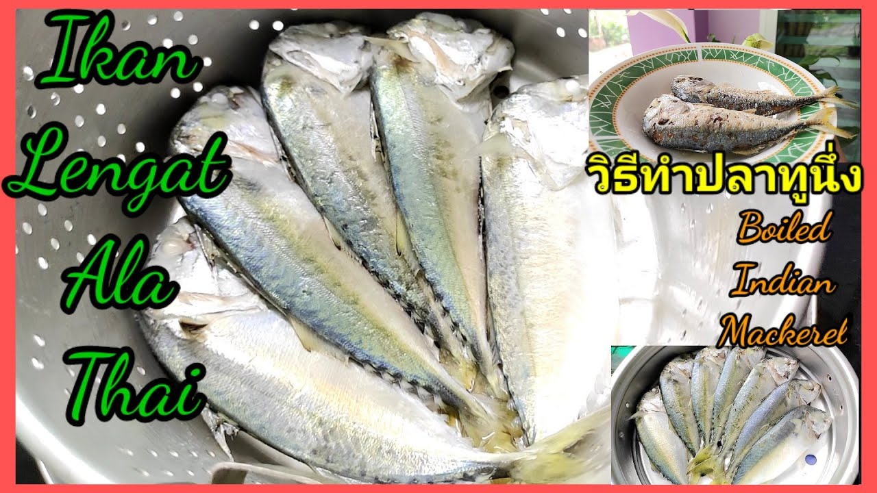 Ready go to ... https://youtu.be/7NnEjM-Ujj0 [ Cara Membuat Ikan Lengat Ala Thai | à¸§à¸´à¸à¸µà¸à¹à¸²à¸à¸¥à¸²à¸à¸¹à¸à¸¶à¹à¸ | Steamed (Boiled) Indian Mackerel]