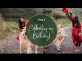 Shiney girl's birthday vlog 1 ✨හපොයි photos ඇති අක්කී මට බෑ අයියෝ..🙆 #shiney#goldenretriever #pets.