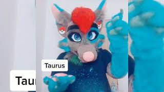 Tik Tok  Furries Part 21