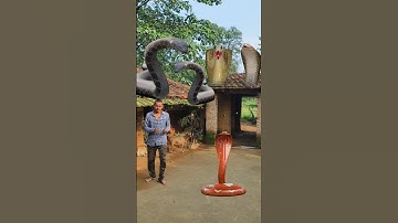 Unbelievable Snake Attack in Village 😯| VFX Editing 🐍 #funny #snake #youtubeshorts #comedy