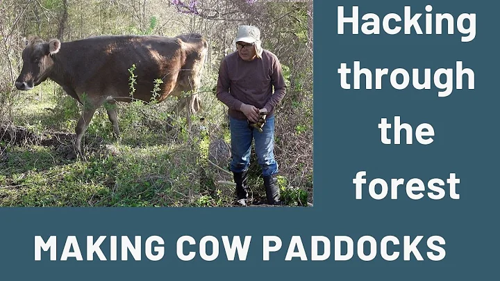 Hacking Through the Deep, Dark, Dense Forrest for ...
