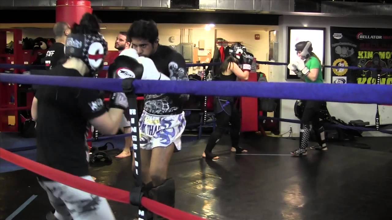 Brandy Young YouTube