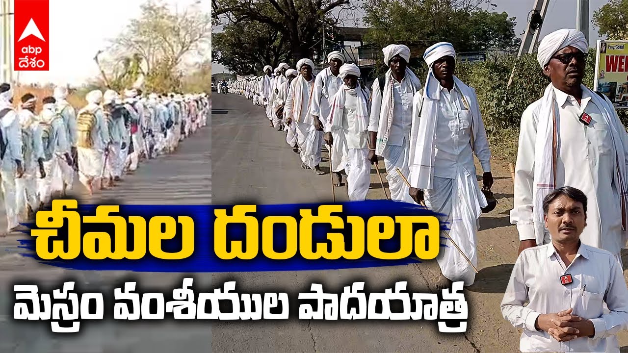 ADB Gangajala Padayatra | Nagoba Jatara | గంగాజలం కోసం మెస్రం వంశీయుల పాదయాత్ర | ABP Desam