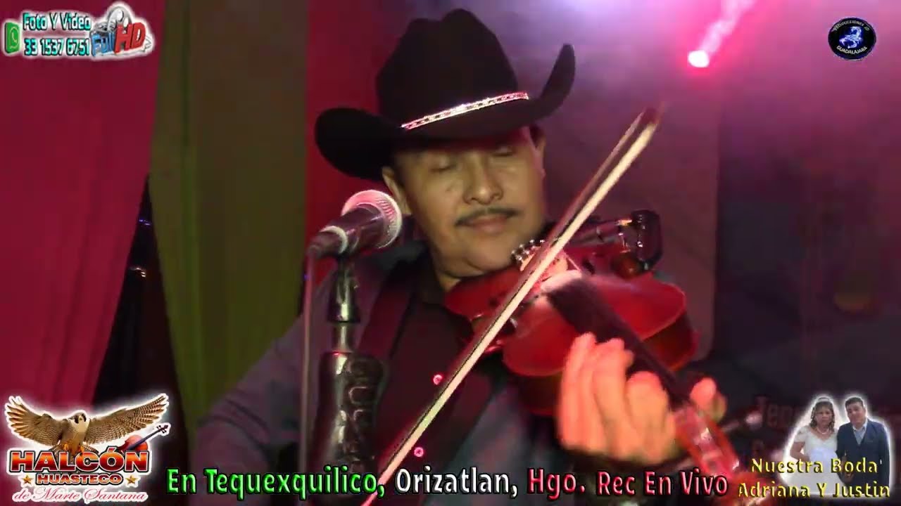 HALCON HUASTECO EN VIVO EN TEQUEXQUILICO, ORIZATLAN, HGO