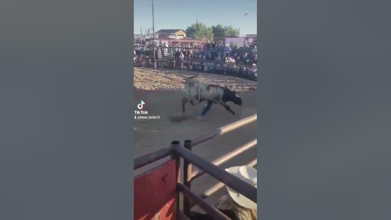 Bucked off Bucking Nightmare bullriding cowboys cowboy rodeo horse