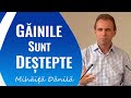 Găinile sunt destepte - Mihaita Danila