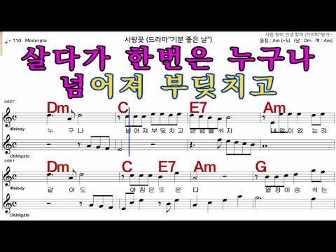 사랑꽃  조항조   가수처럼 엠알로  악보  노래 하기 여자  Am