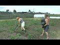 Как надо работать на огороде)))