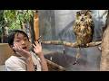 レオくんがおでかけ！Moff animal cafe！ Part192 トイキッズ