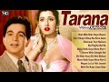 Dilip kumar madhubala  super hit vintage songs   tarana  1951 