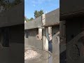 curing of wall plaster