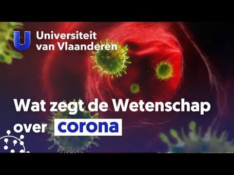 Video: Hoe Om 'n Virus Op 'n Skyf Te Ondersoek