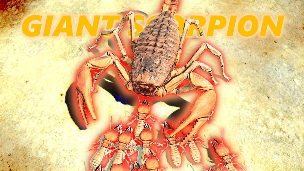 TERMITES ATTACK! (Empires of the Undergrowth) - YouTube