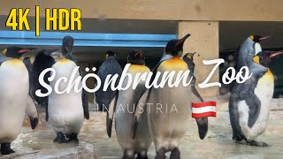 Austria Vienna Zoo | Tiergarten Schönbrunn in 4K HDR
