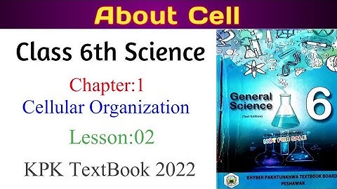 Class 6th Science chapter 1|Celluar Organization| Topic:1.1 Cell | in Pashto|KPK