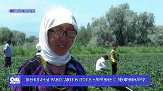 женщины в сельском хозяйстве