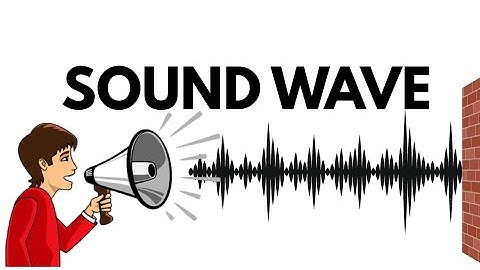 Sound Waves & Echo Explained: Reflection, Reverberation & Real-Life Applications