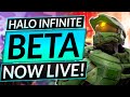HALO INFINITE SEASON 1 NOW LIVE - PLAYABLE BETA JUST RELEASED - Update Guide