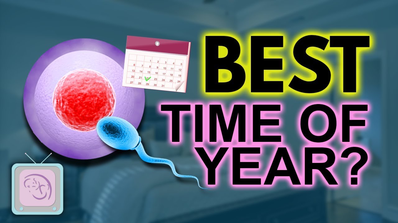 What's the best time of year to get pregnant? TTC Tips for MAX