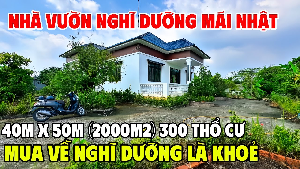 Tập 273| Nhà Vườn Mái Nhật Nghĩ Dưỡng (2000m2) Tặng Cây Trái Và Ao Cá| Trường Sơn Bán Nhà Bình Chánh