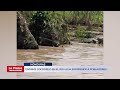 Video de enorme cocodrilo en el río Ulúa sorprende a pobladores