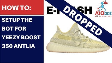 AIO Bot V2 Shopify - How to setup the bot for Yeezy Boost 350 Antilia