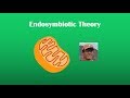 The Endosymbiotic Theory Unveiled: The Origin of Organelles in Cells