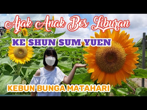 Video: Liburan Bersama Anak