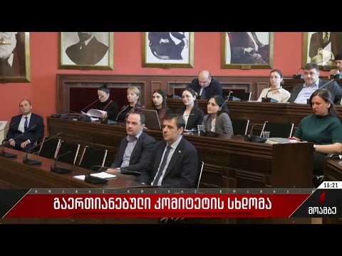 გაერთიანებული კომიტეტის სხდომა