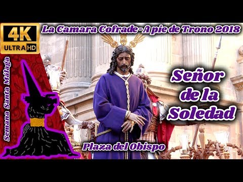 Antigua, Venerable Hermandad y Cofradía de Nazarenos de Nuestro Padre Jesús de la Soledad, Negaciones y Lágrimas de San Pedro, María Santísima del Dulce Nombre y San Francisco de Asís