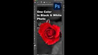 One Color in Black and White Photo in Photoshop